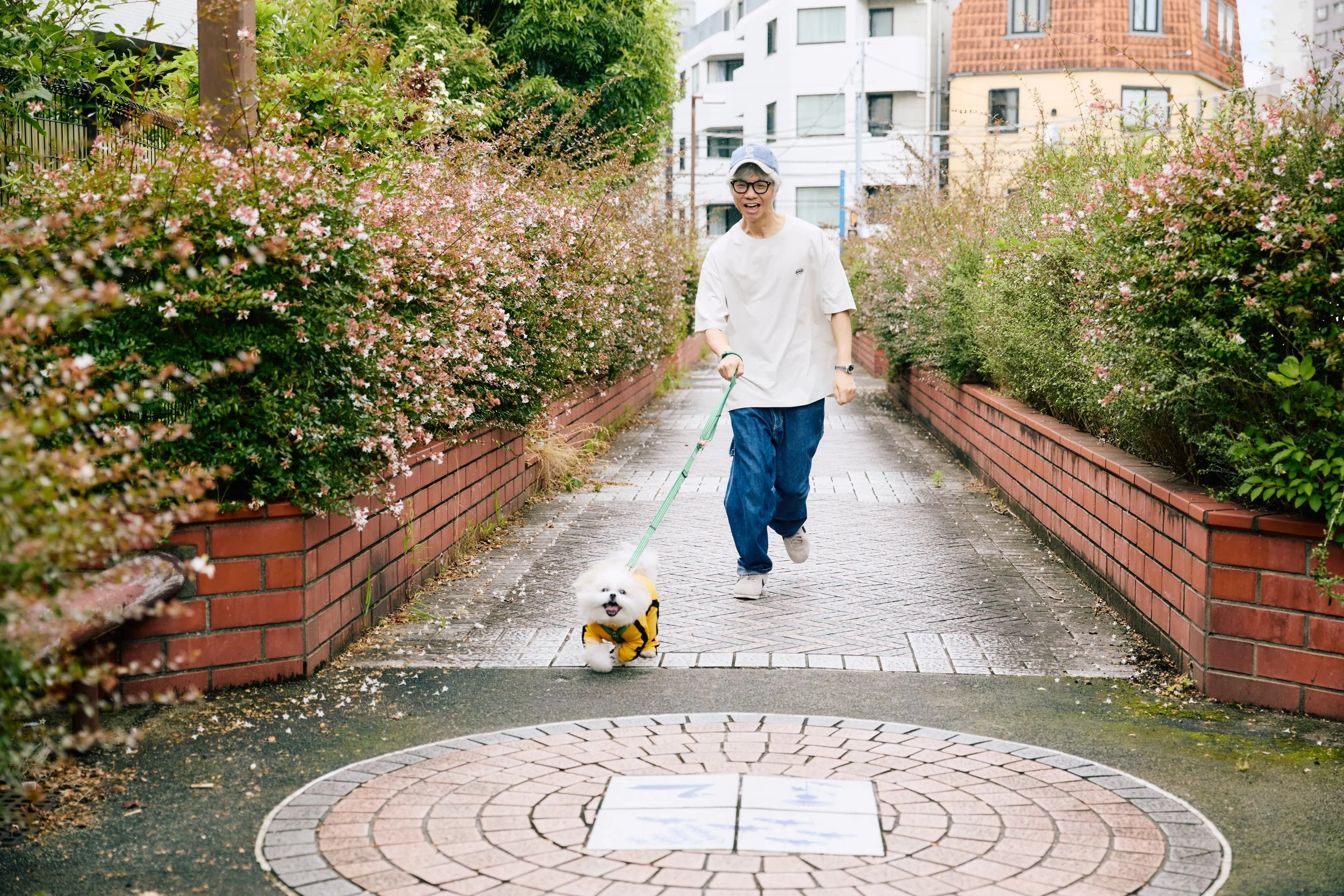 讓世界變得更溫柔了——名犬mocozo與漫畫家本秀康彼此陪伴的幸福日常｜〈與自己散步〉