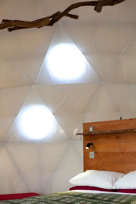 fforest Dome 3.jpg