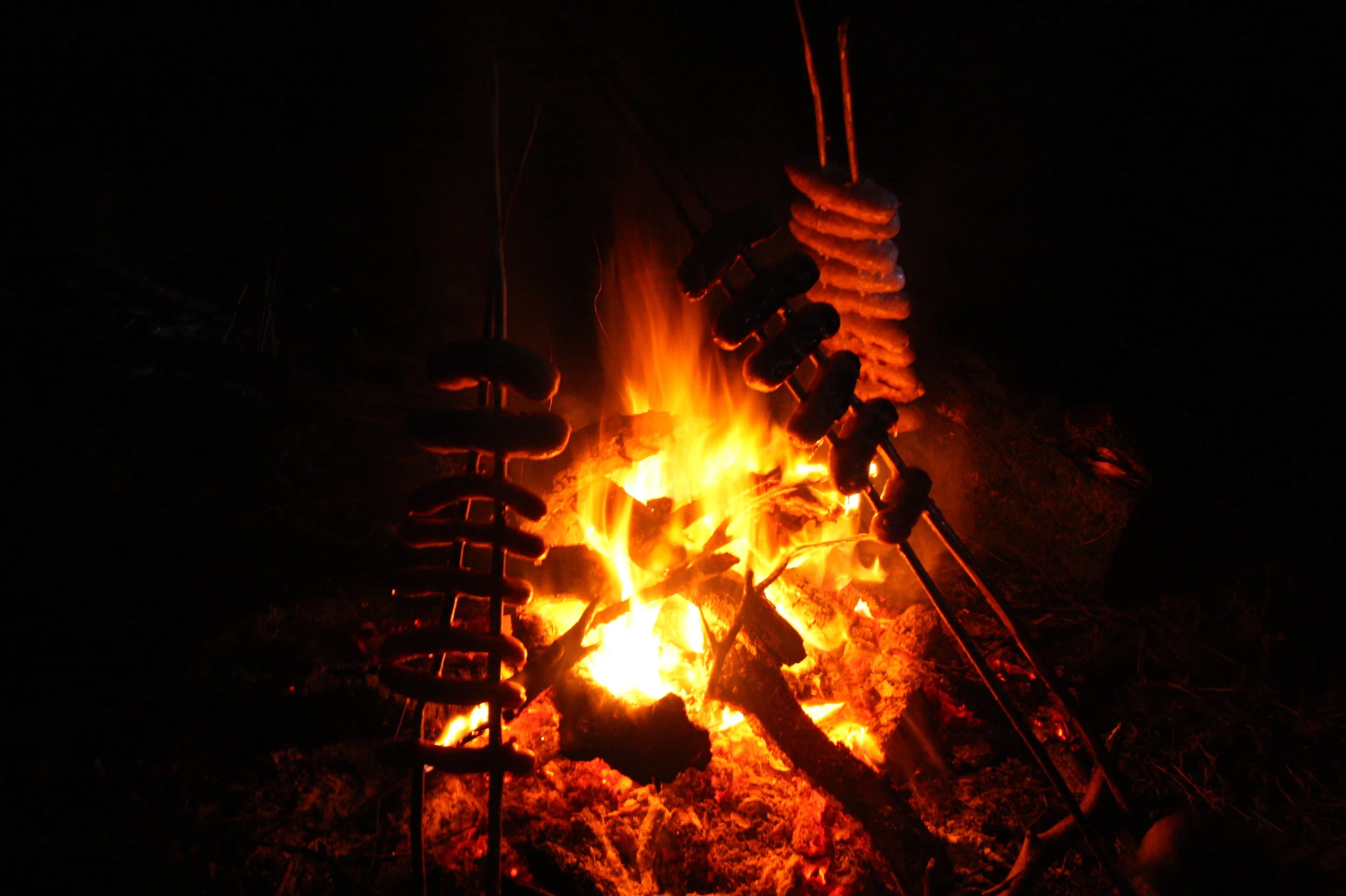 fforest Campfire cooking elemental