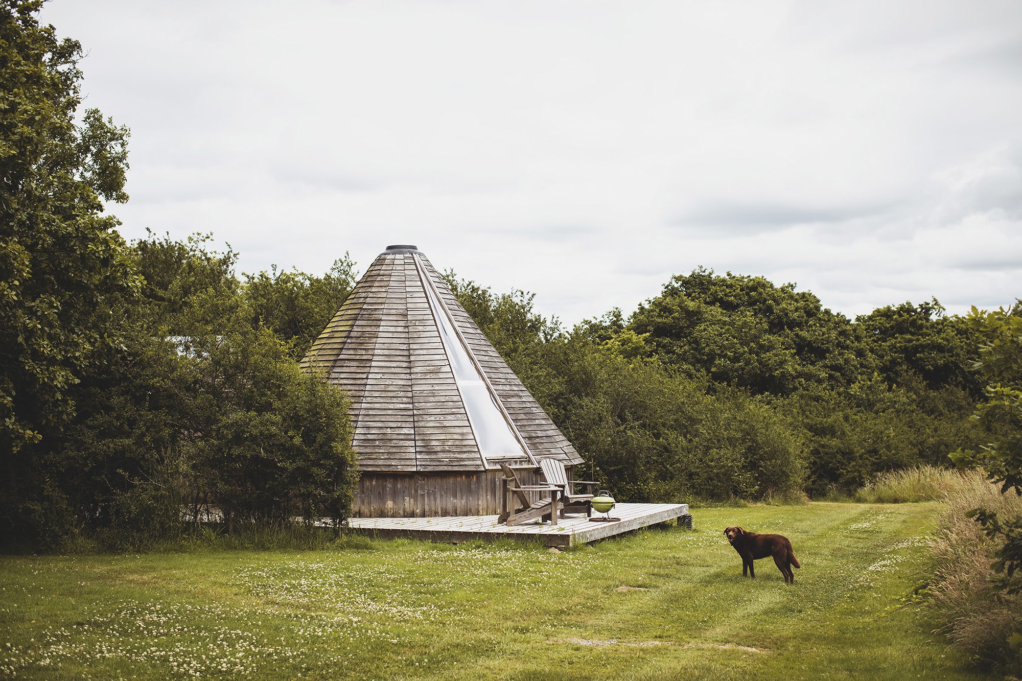 Heather_Birnie_Fforest_Farm_2022_171_web.jpg