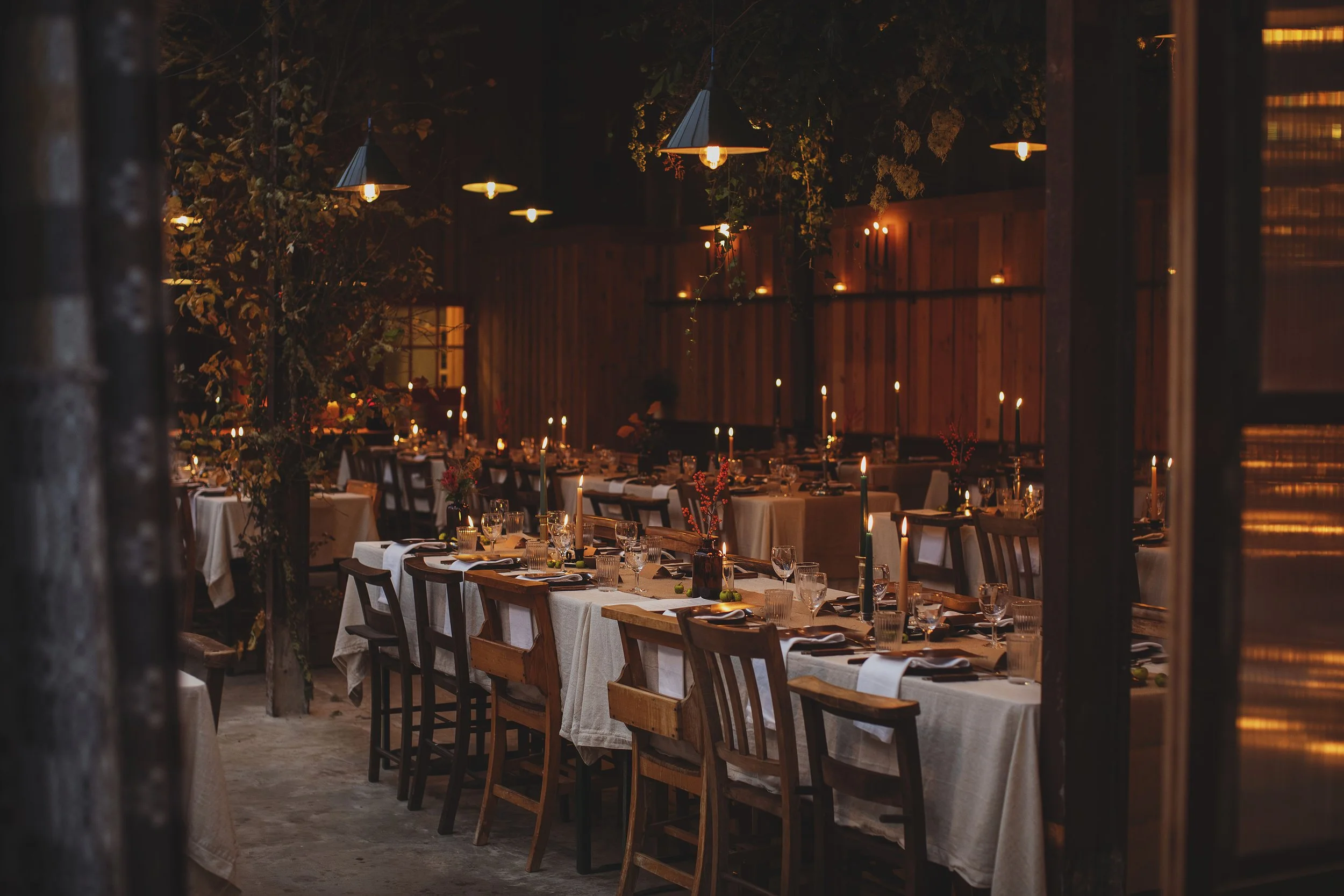 Heather_Birnie_Fforest_Winter_Feast_2024_042_web.jpg