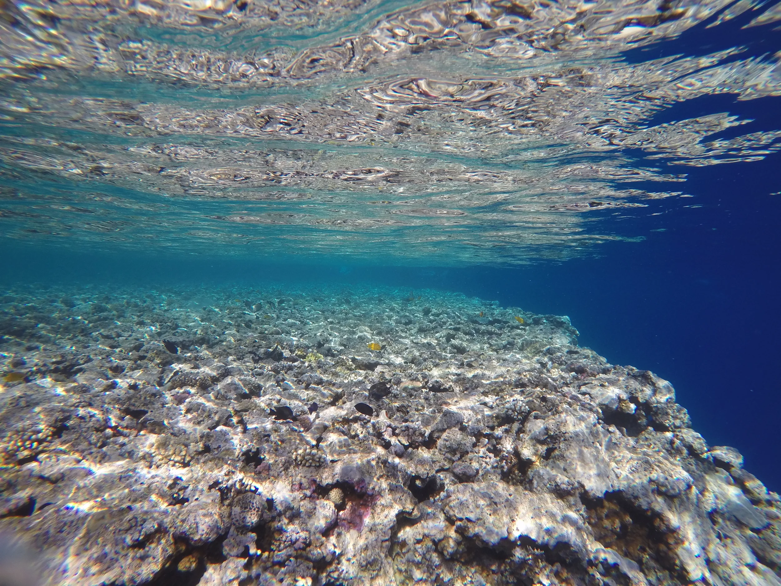  Blue Hole Dahab, Egypt 2015.