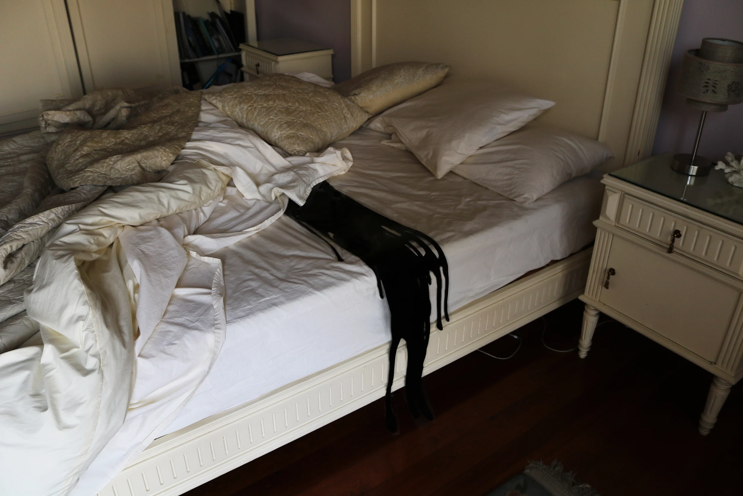  Testimony (Cario bed), Archival ink print mounted on wood, 70 x 46 cm, 2016, Edition 1/5 