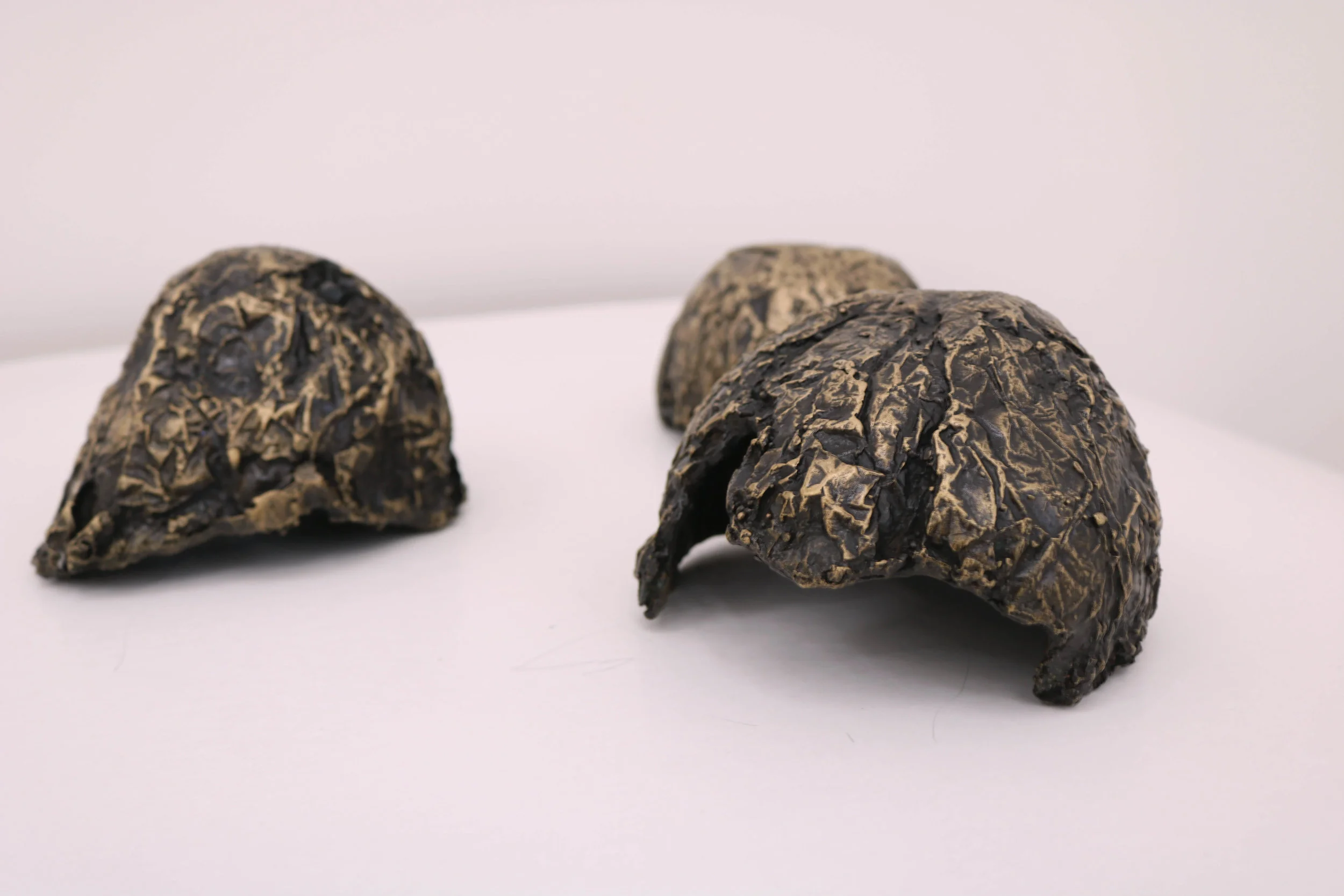  Bronze, 13 x 10 cm (each), 2017, Edition 1/8. 