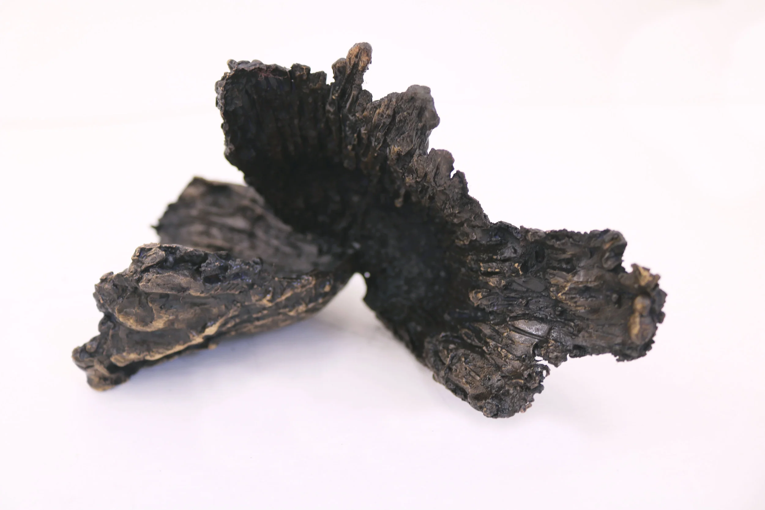  Bronze, 23 x 13 cm, 2017. Edition 1/8 