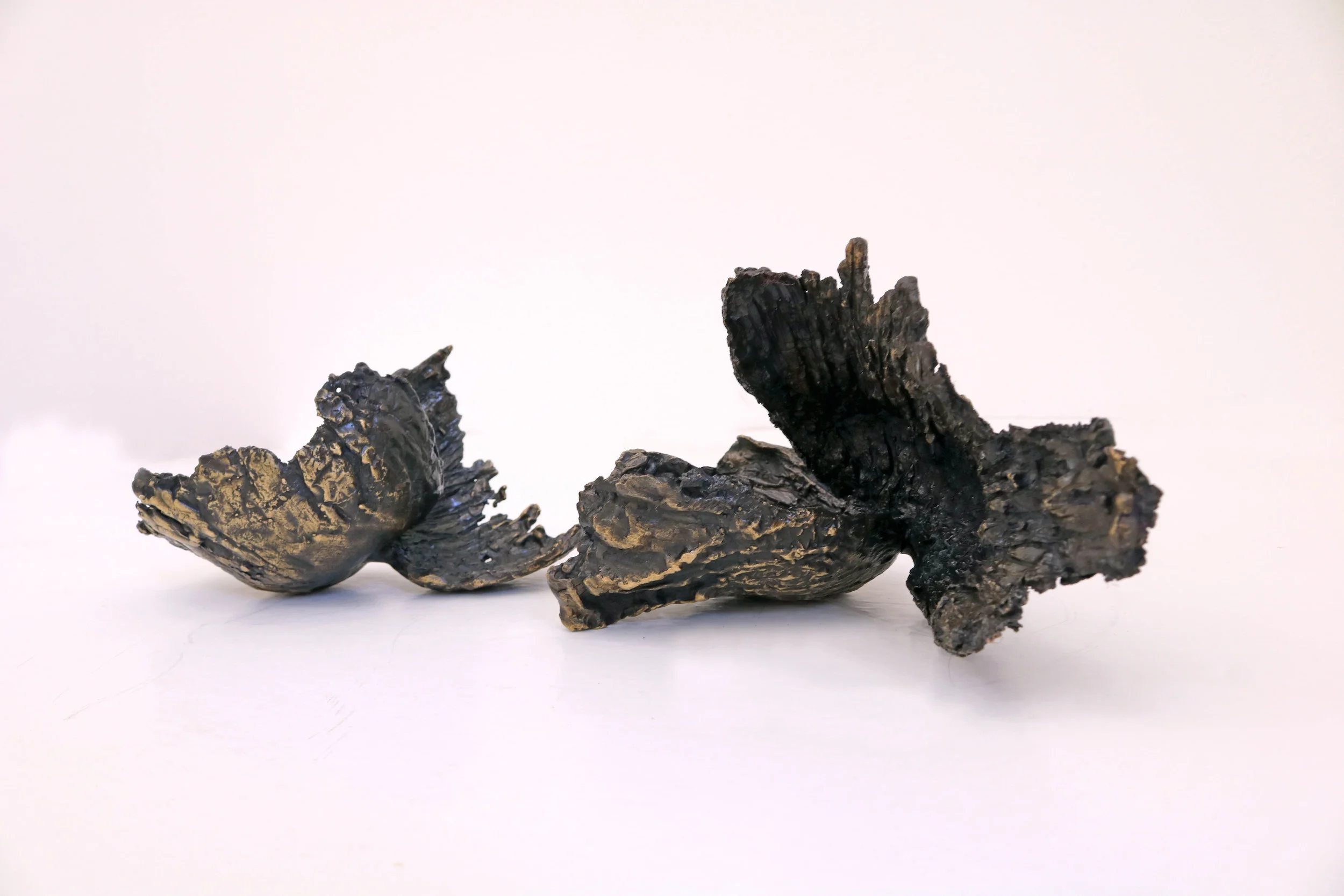  Bronze, 23 x 13 cm, 2017. Edition 1/8 