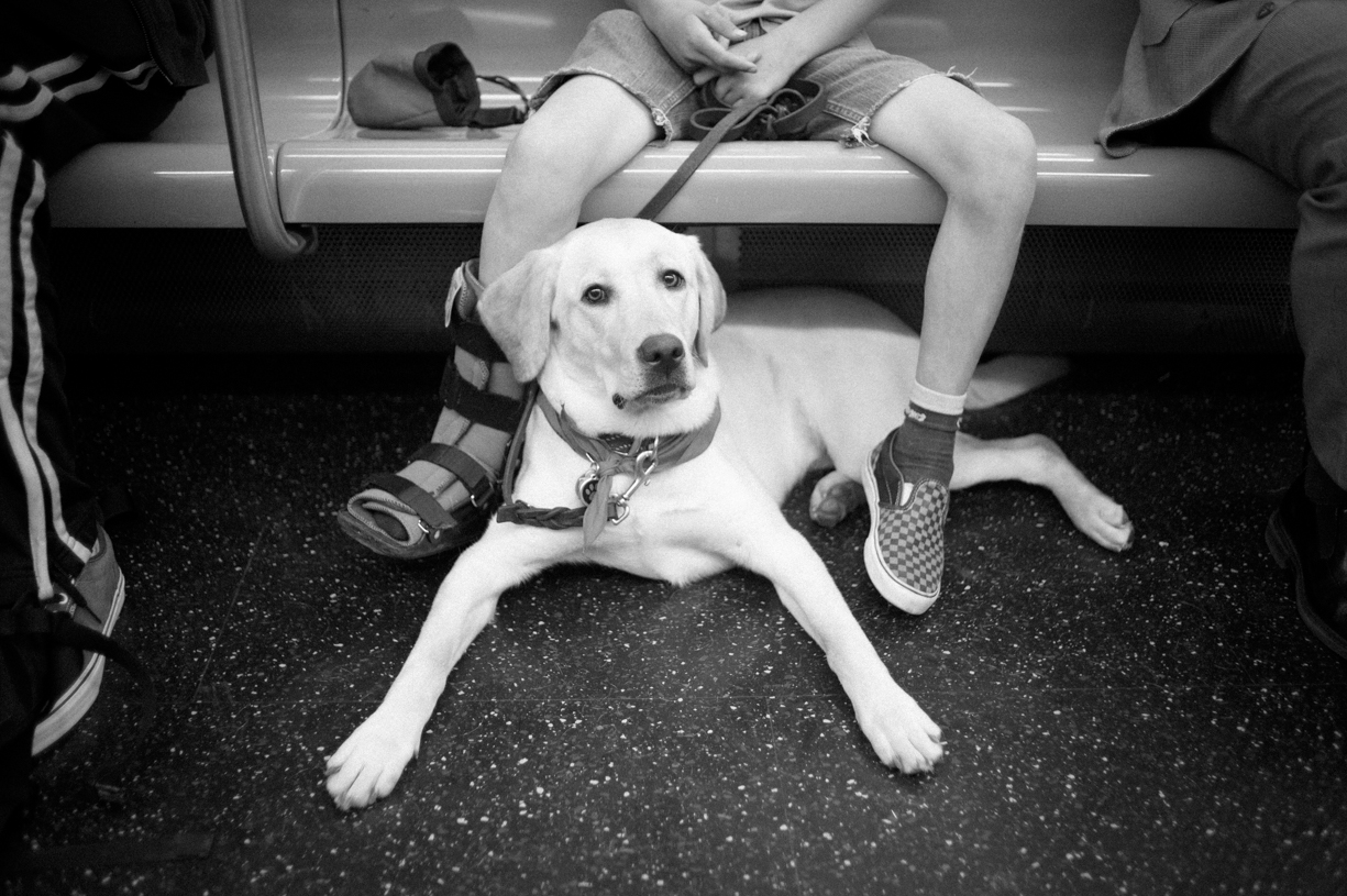 On the F train