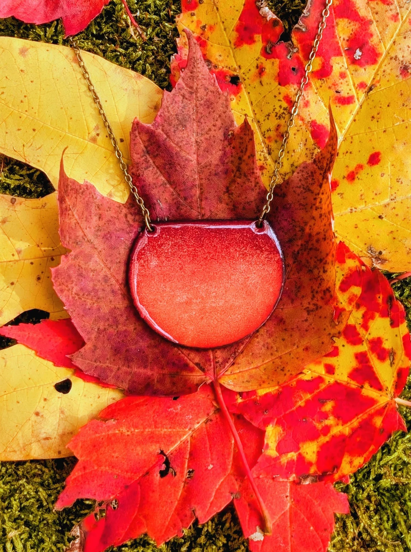 FallLeaves.jpg