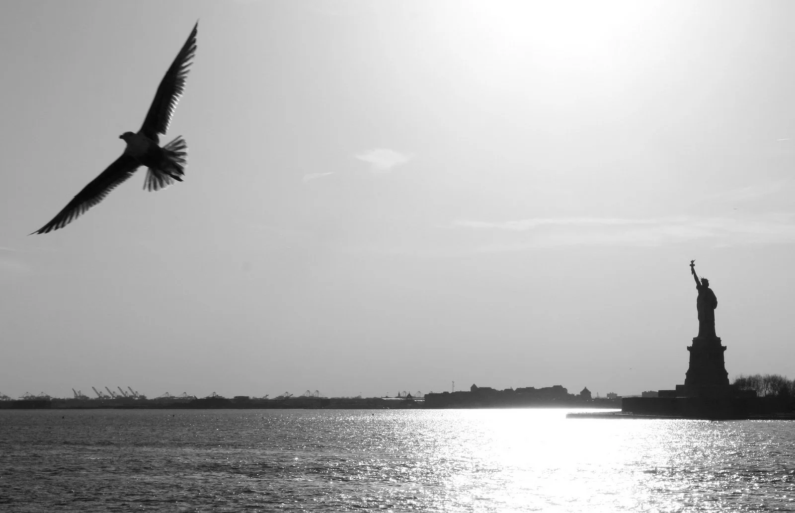 new york <a href="products/newyork">- choose size</a>