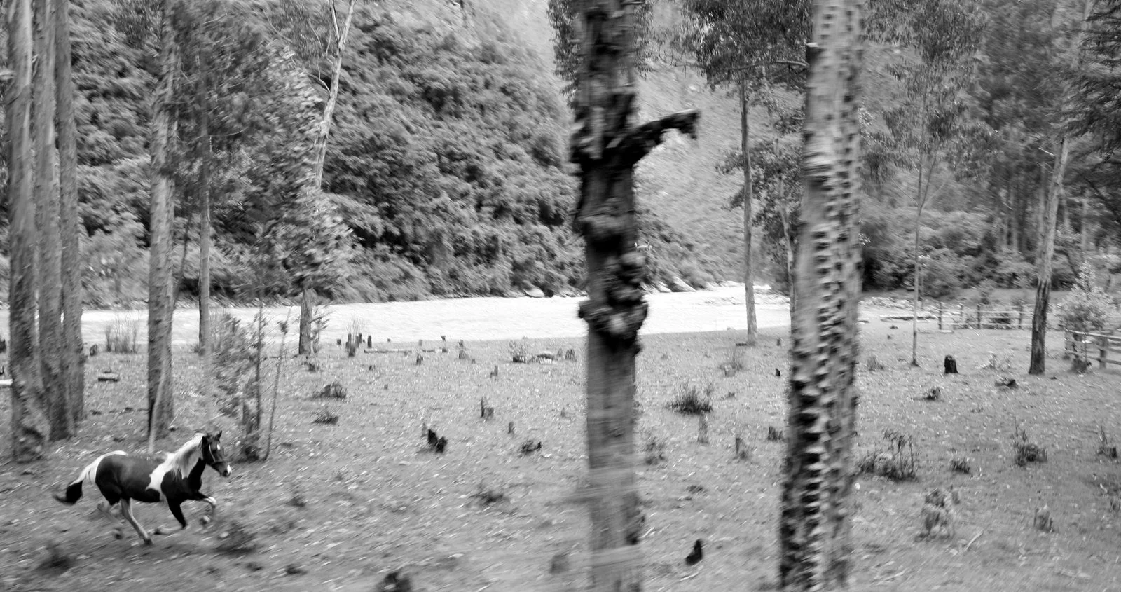 peru <a href="products/peru">- choose size</a>