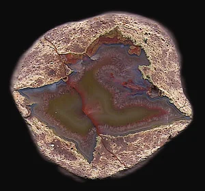 AG11-8_s1.jpg