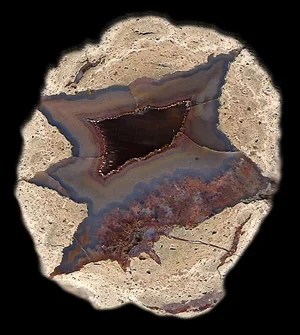 AG11-9_s1.jpg