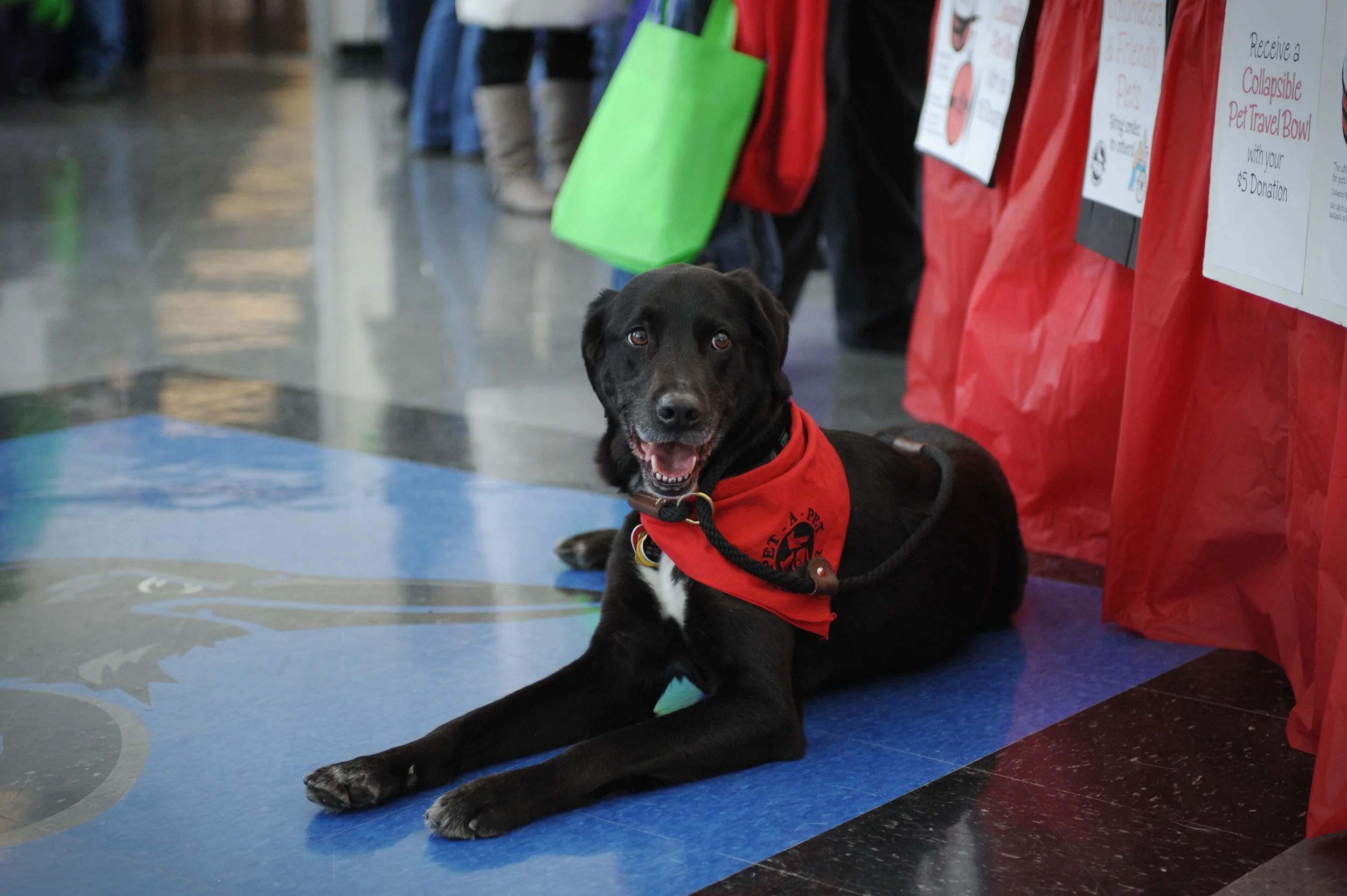 0048_2015HealthWellnessExpo.JPG