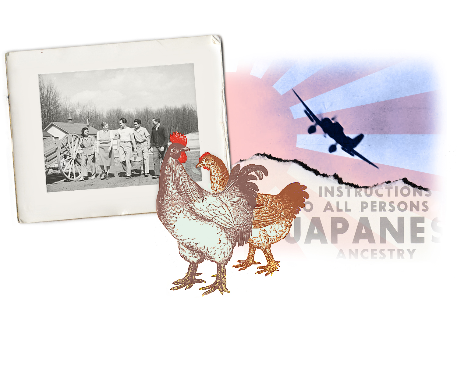 Interned Japanese Chicken Farmers in WW2