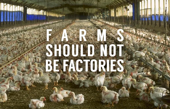 farms-should-not-be-factories.jpg