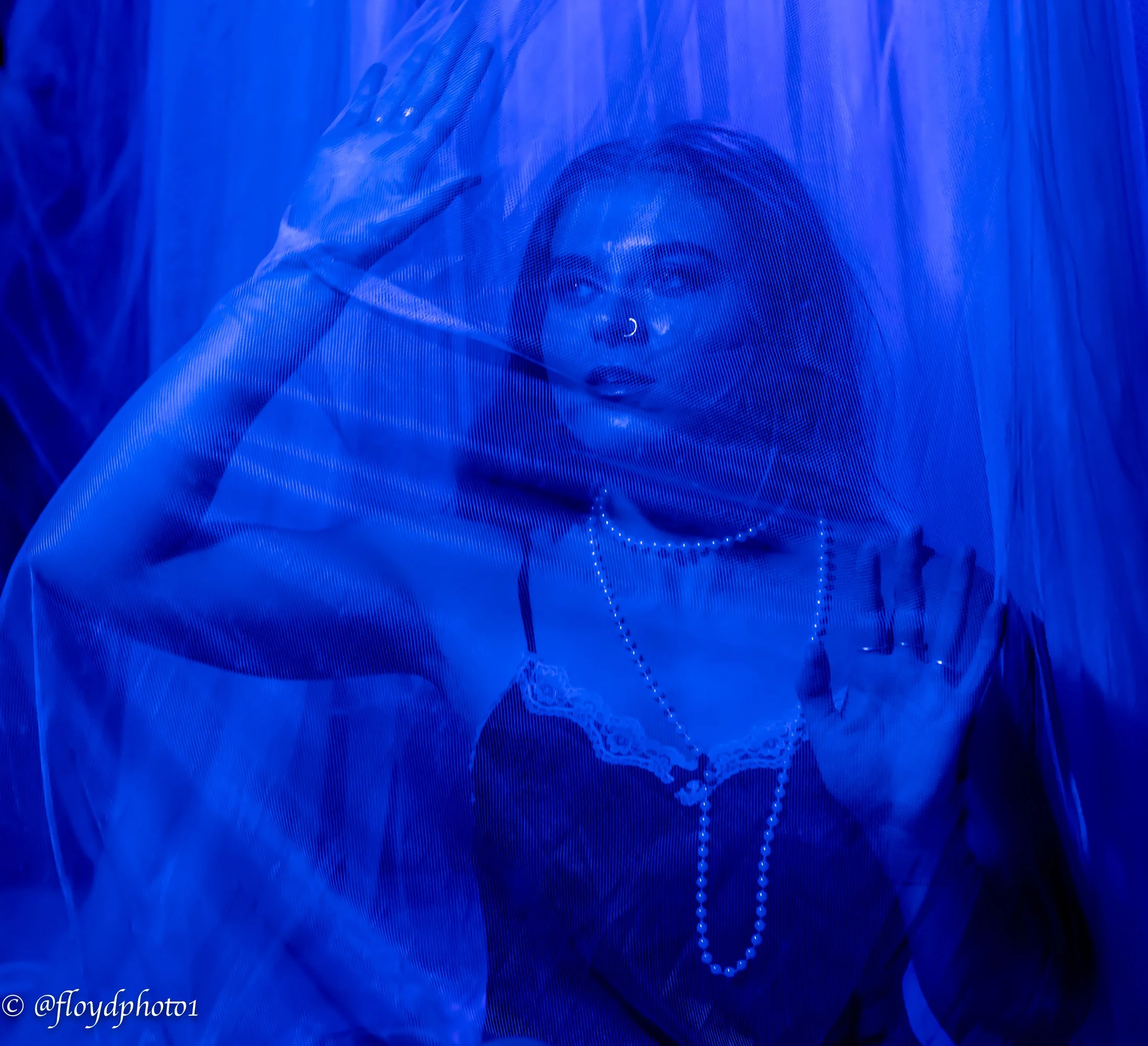  Photographer:  Gerald Floyd  