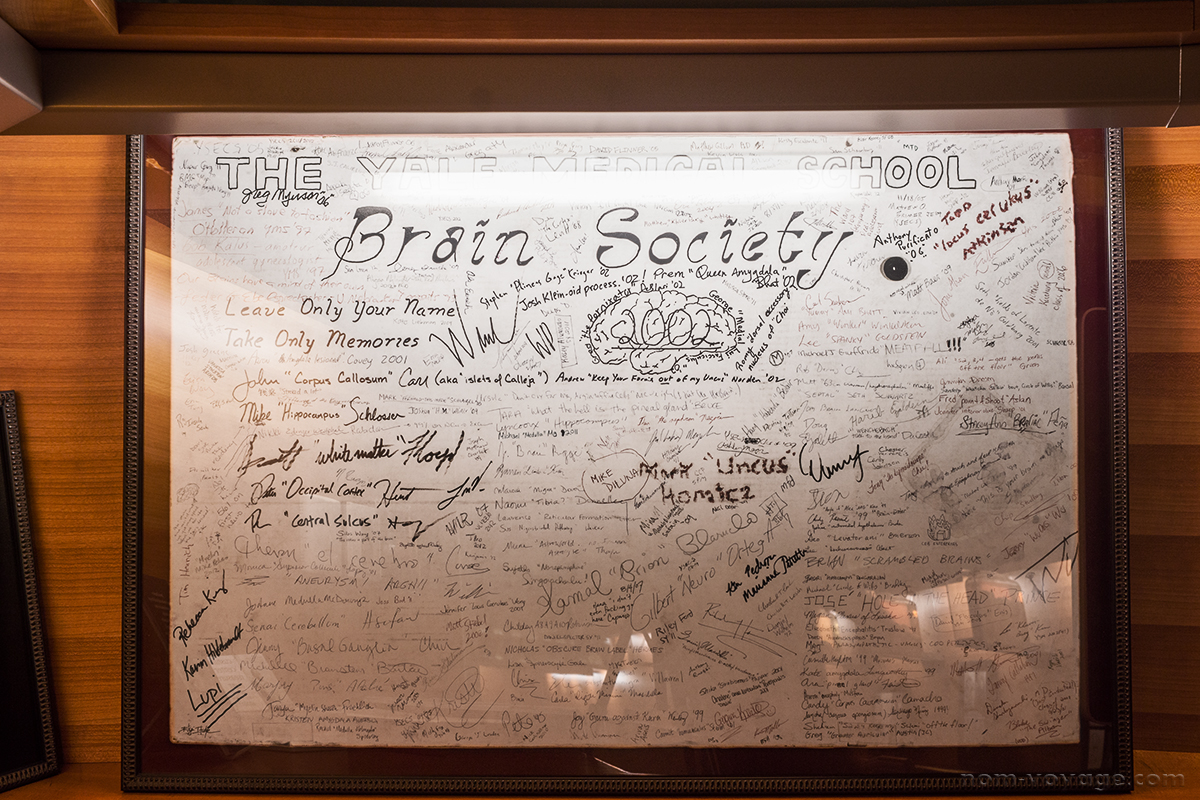 Signatures of the many members of Yale's secret Brain Society