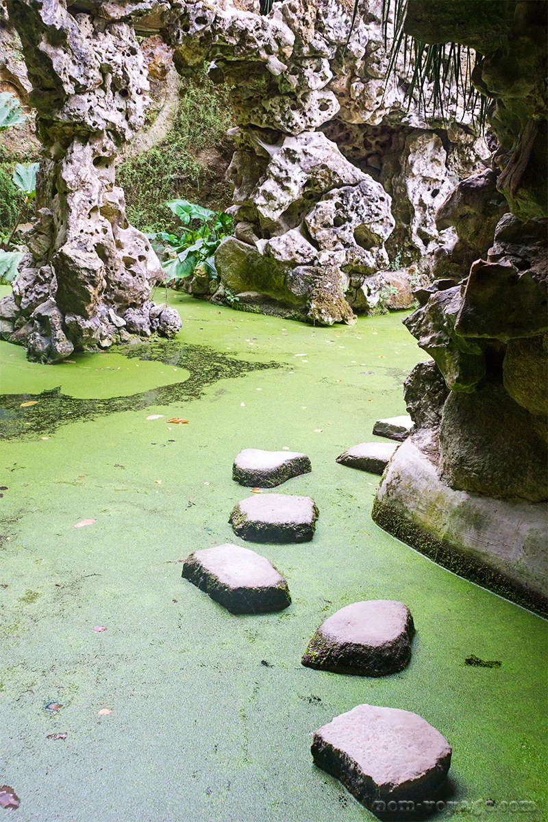 Quinta Reg 12.jpg