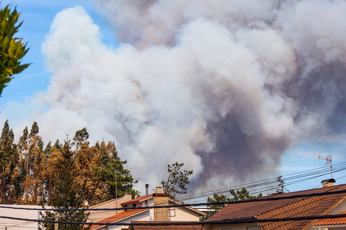 2nd Fire 1.jpg