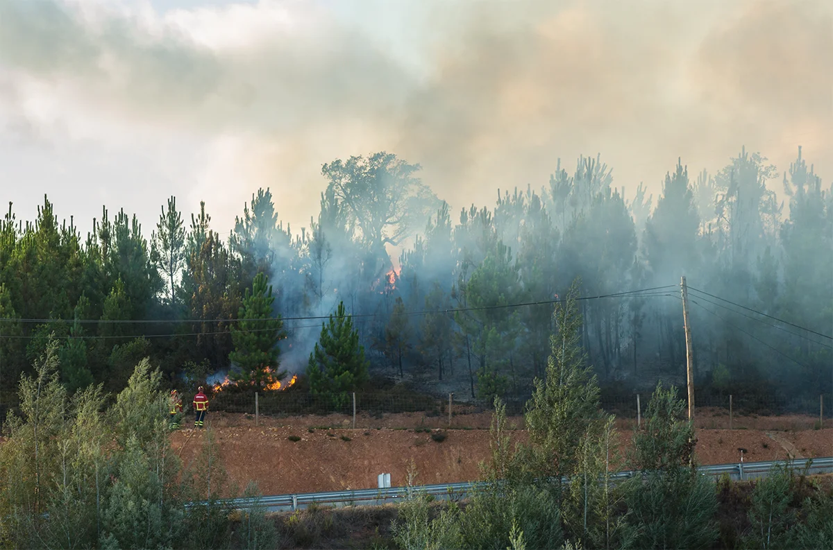 Fighting the Fire 14.jpg