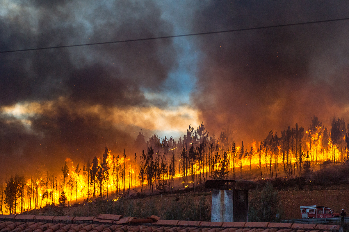 Fighting the Fire 8.jpg