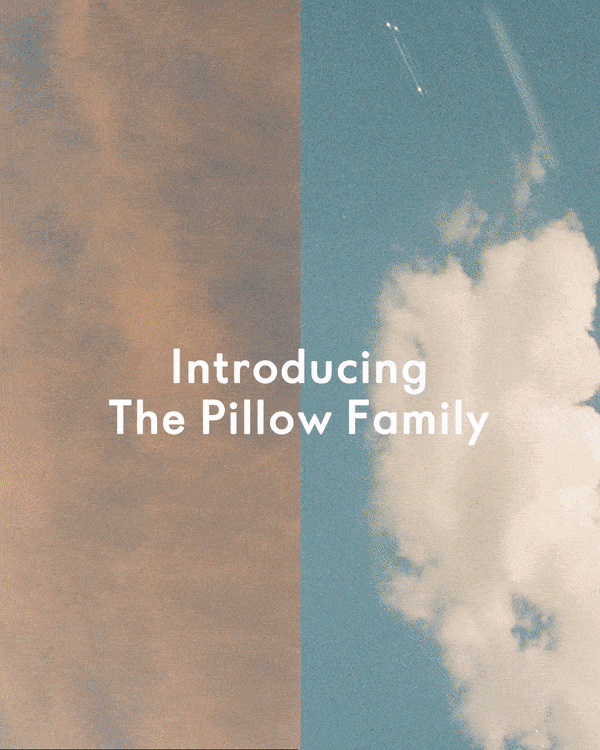 story2.gif