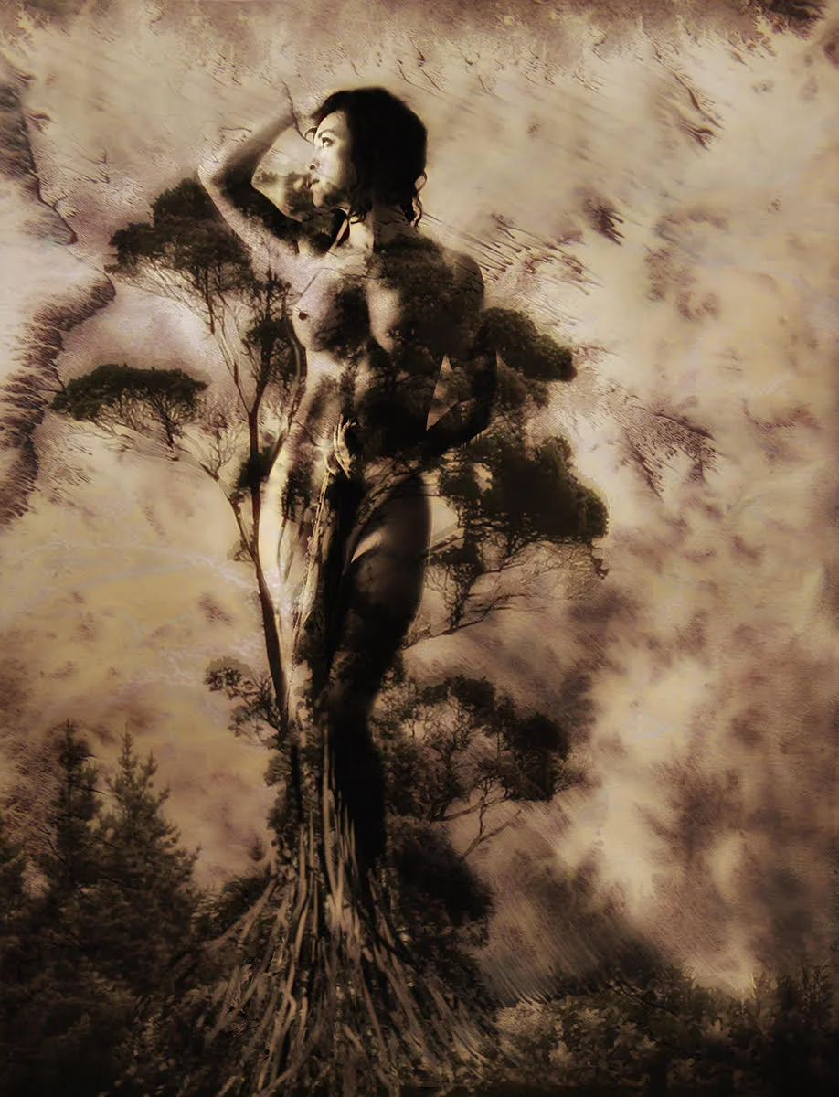 Rebirth