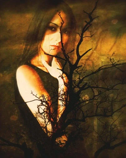 Girl with Tree over face on Brooks.jpg