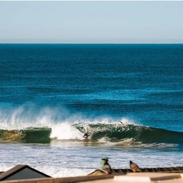 @brettnaudin 📸 @tannerolthoff #chrisborstdesigns