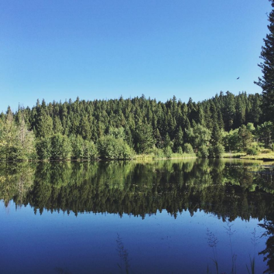 Reflecting beauty.