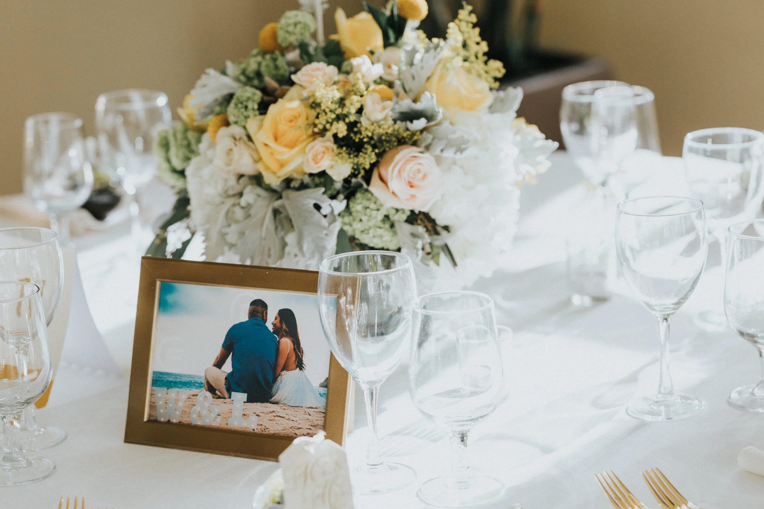 Reception-518.jpg