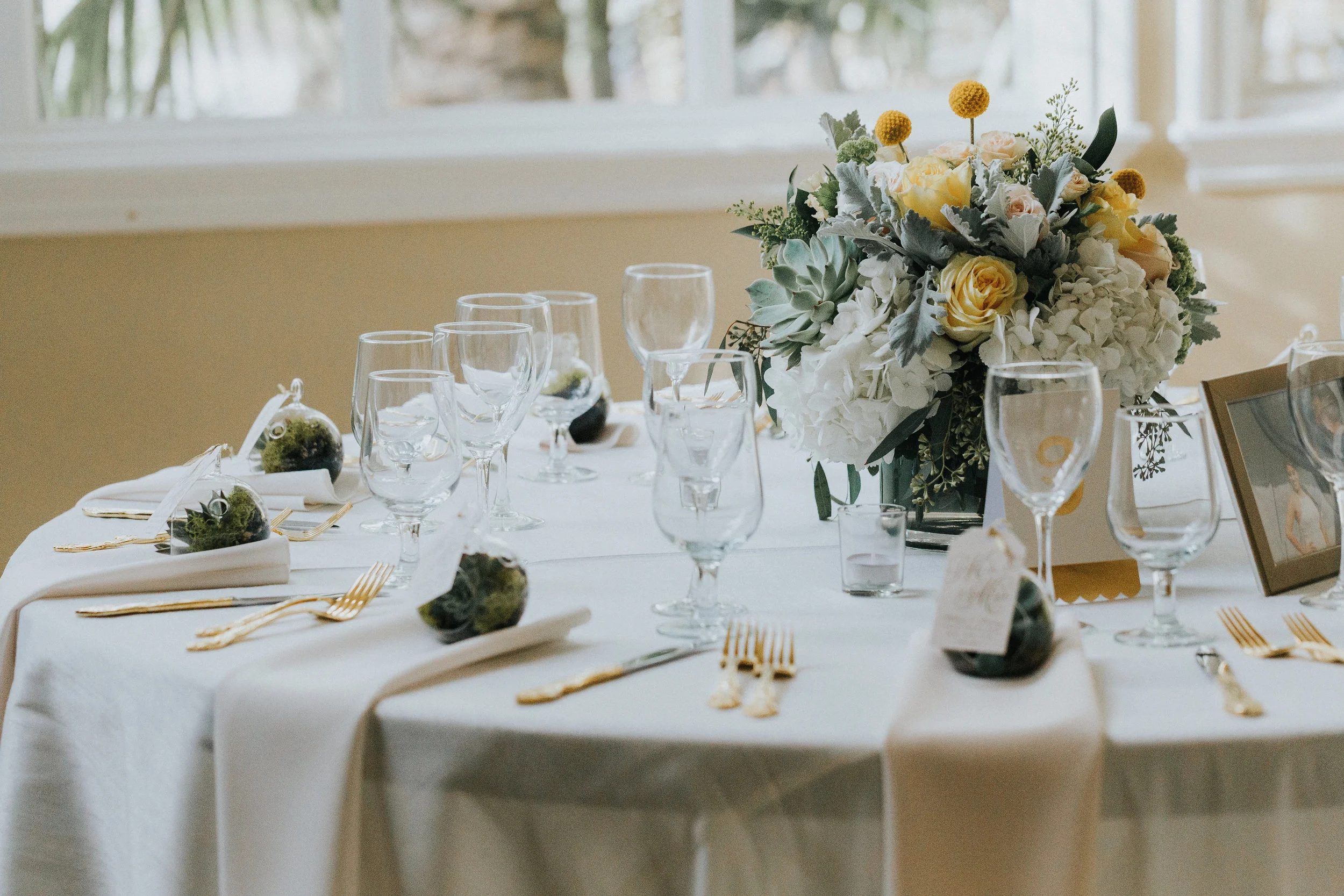 Reception-513.jpg