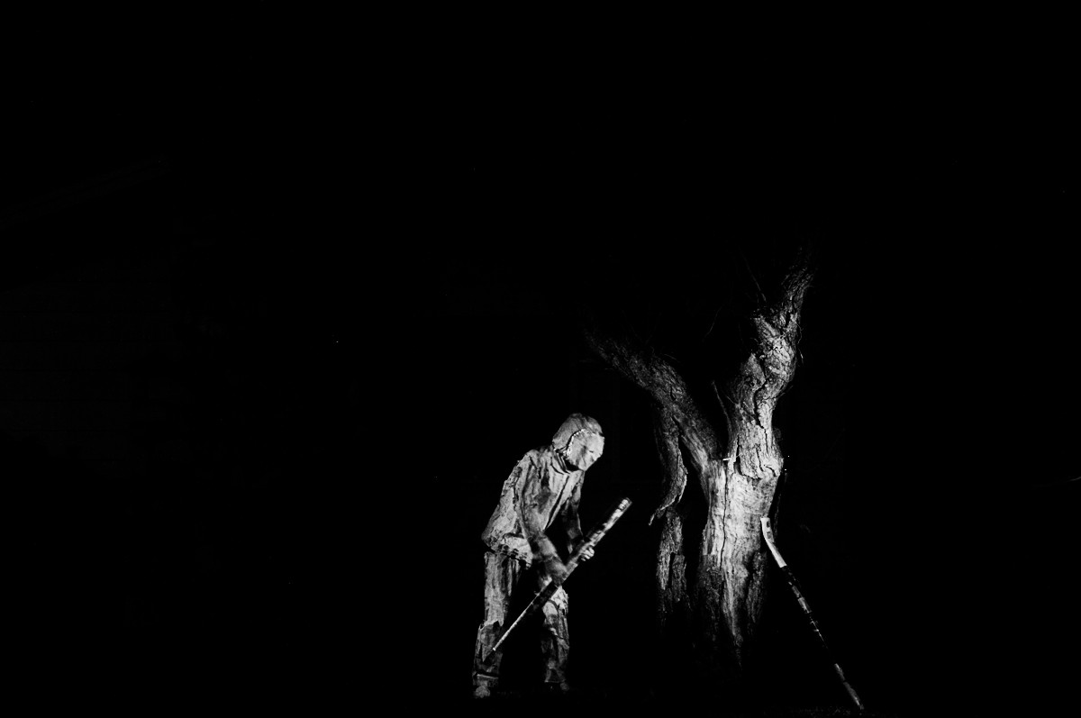 Skeleton of Trees