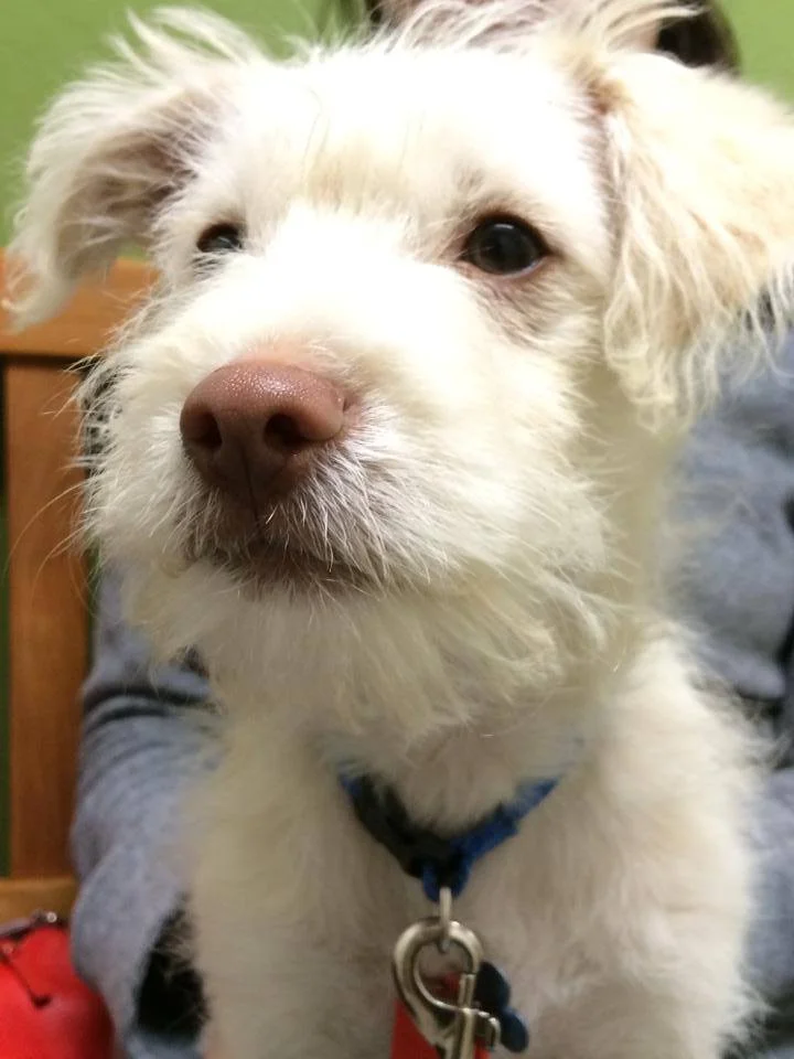 murphy.jpg