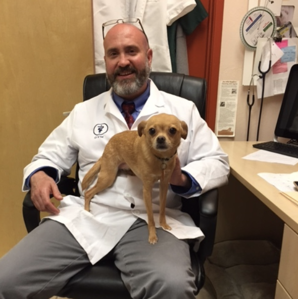 seven hills veterinary