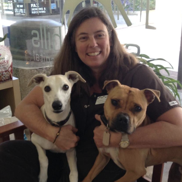 seven hills veterinary