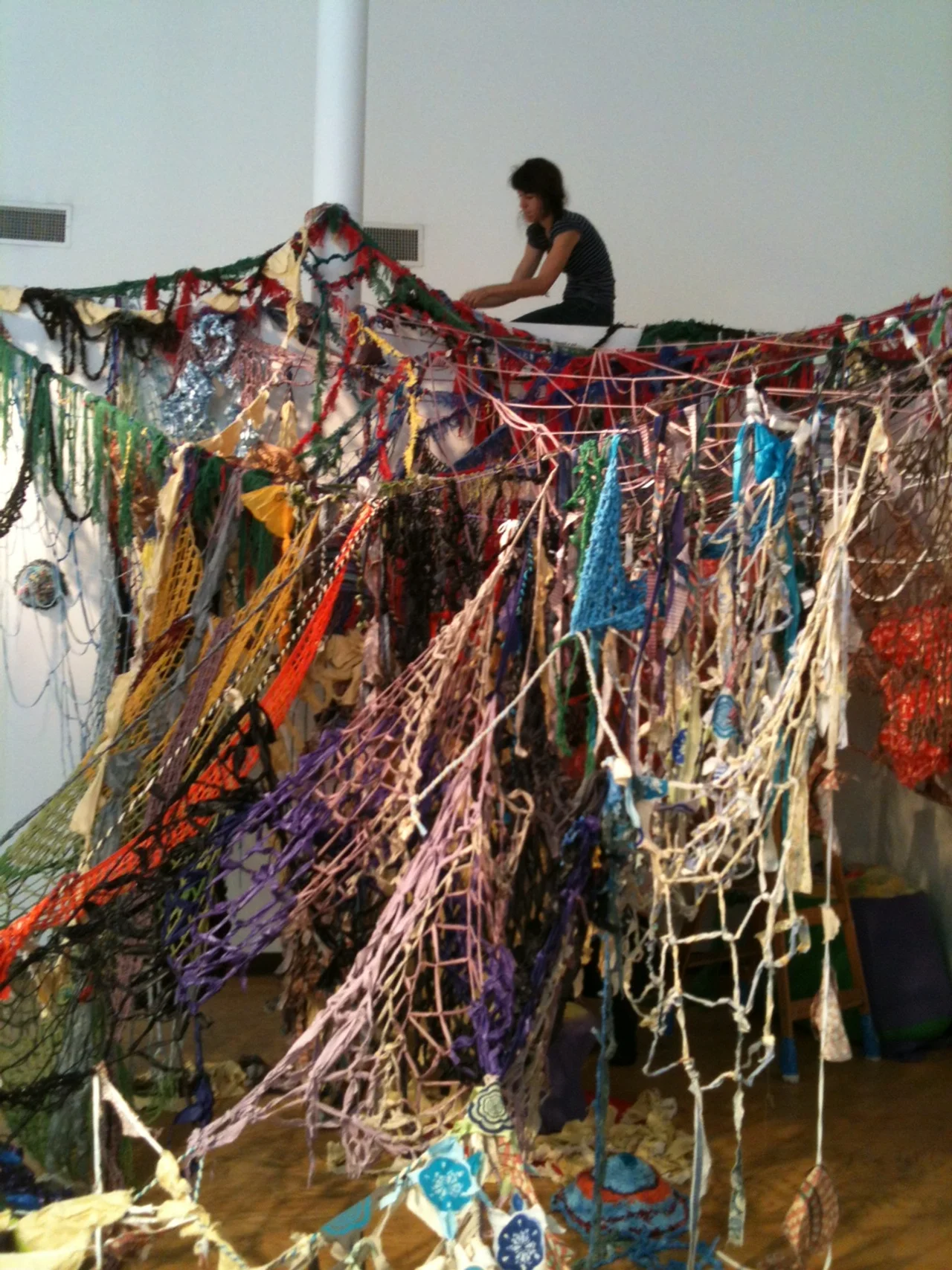 LAIR amadine above.JPG