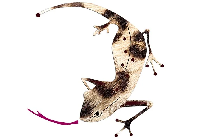 8_leopardsalamander.jpg
