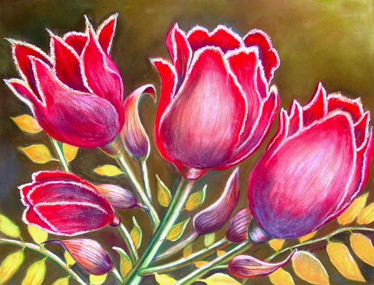 1_African Tulips.JPG