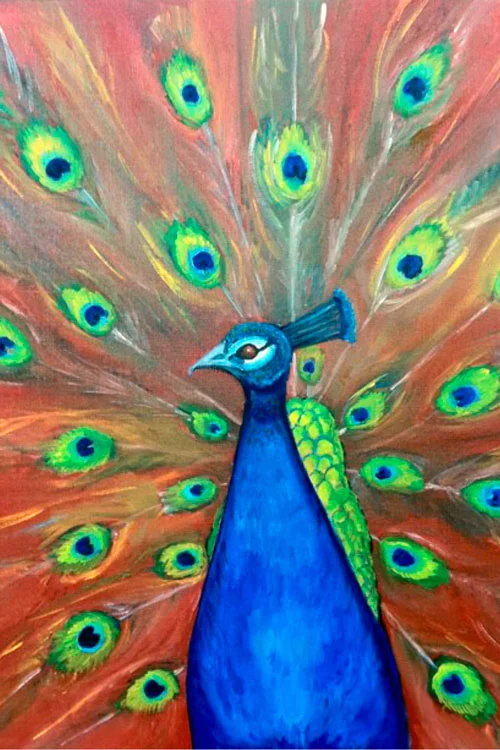1_Peacock.jpg