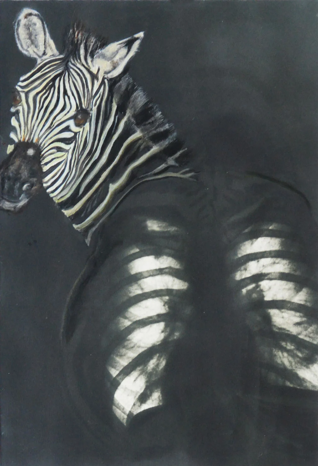 03_Bone Image 10.jpg