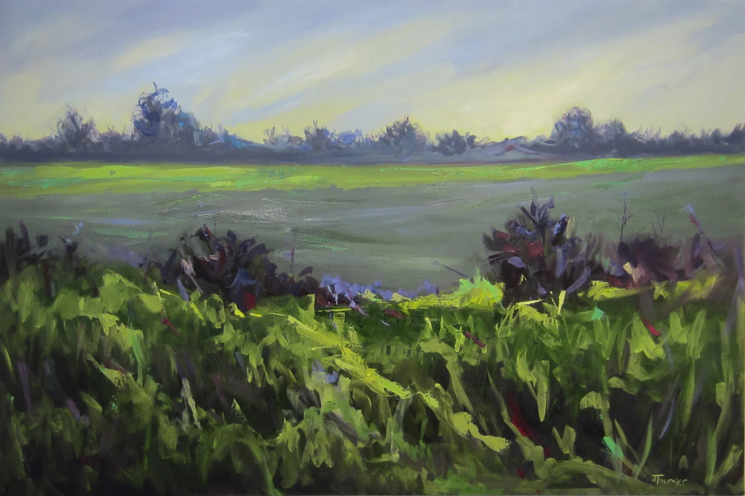 10. Meadow.jpg