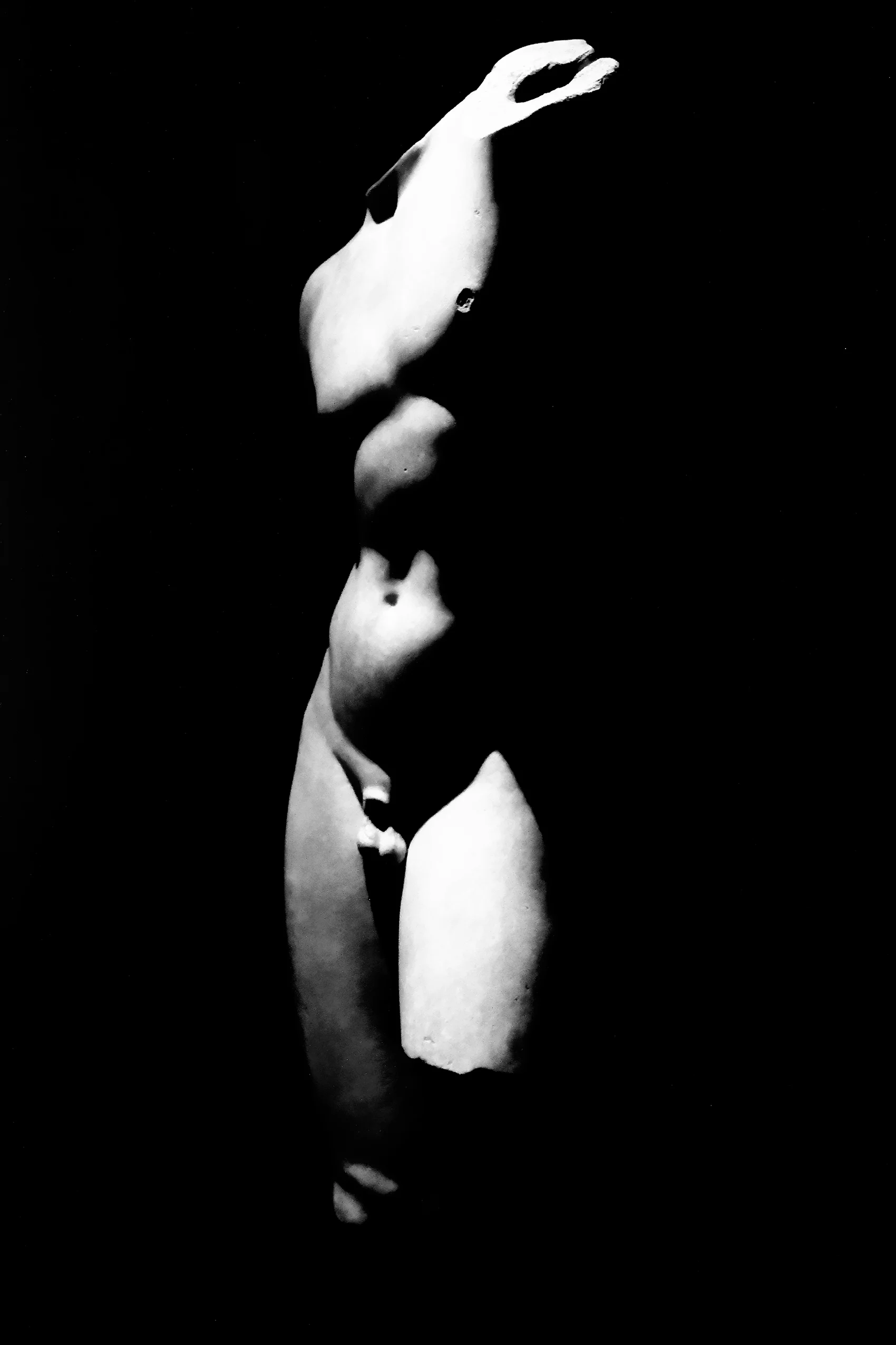 8_noir intense.jpg