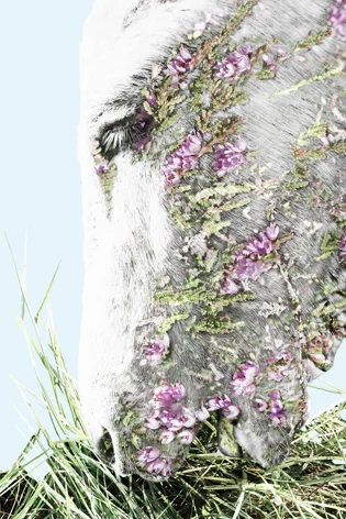 Roberto Rodolfo Cami