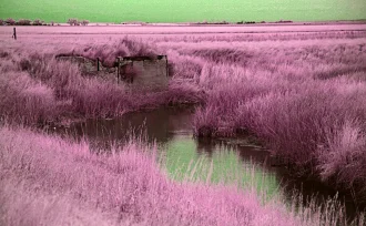 07_MedicineLake#08.jpg
