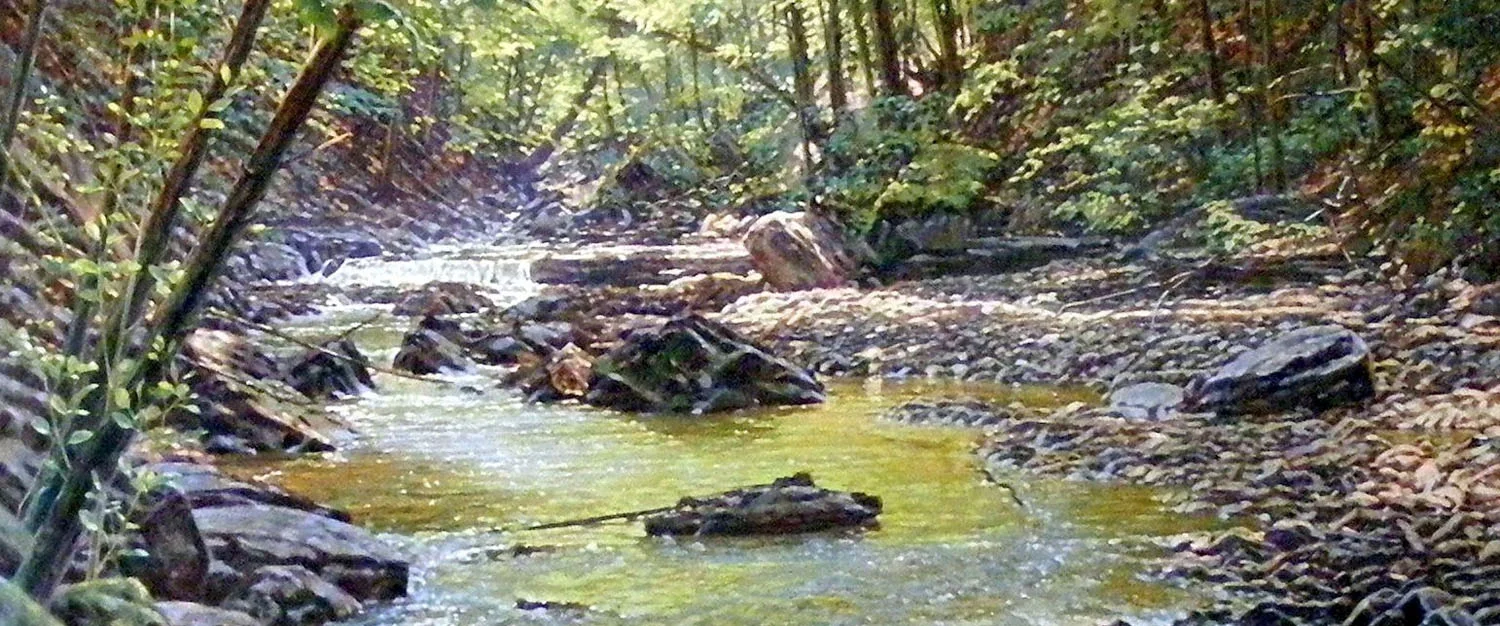 1_Spencer Creek.jpg