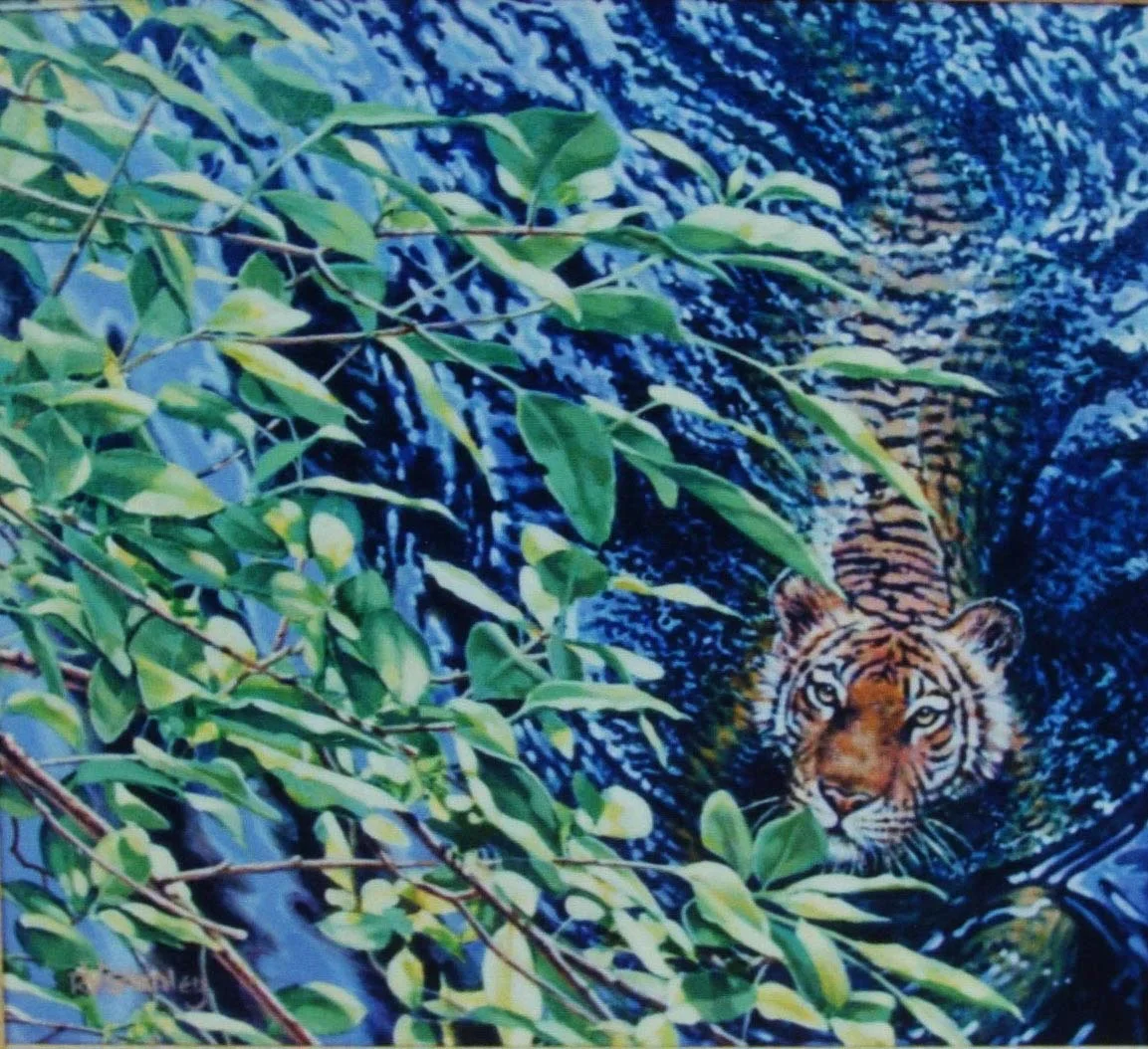 4_Bengal Beauty.jpg