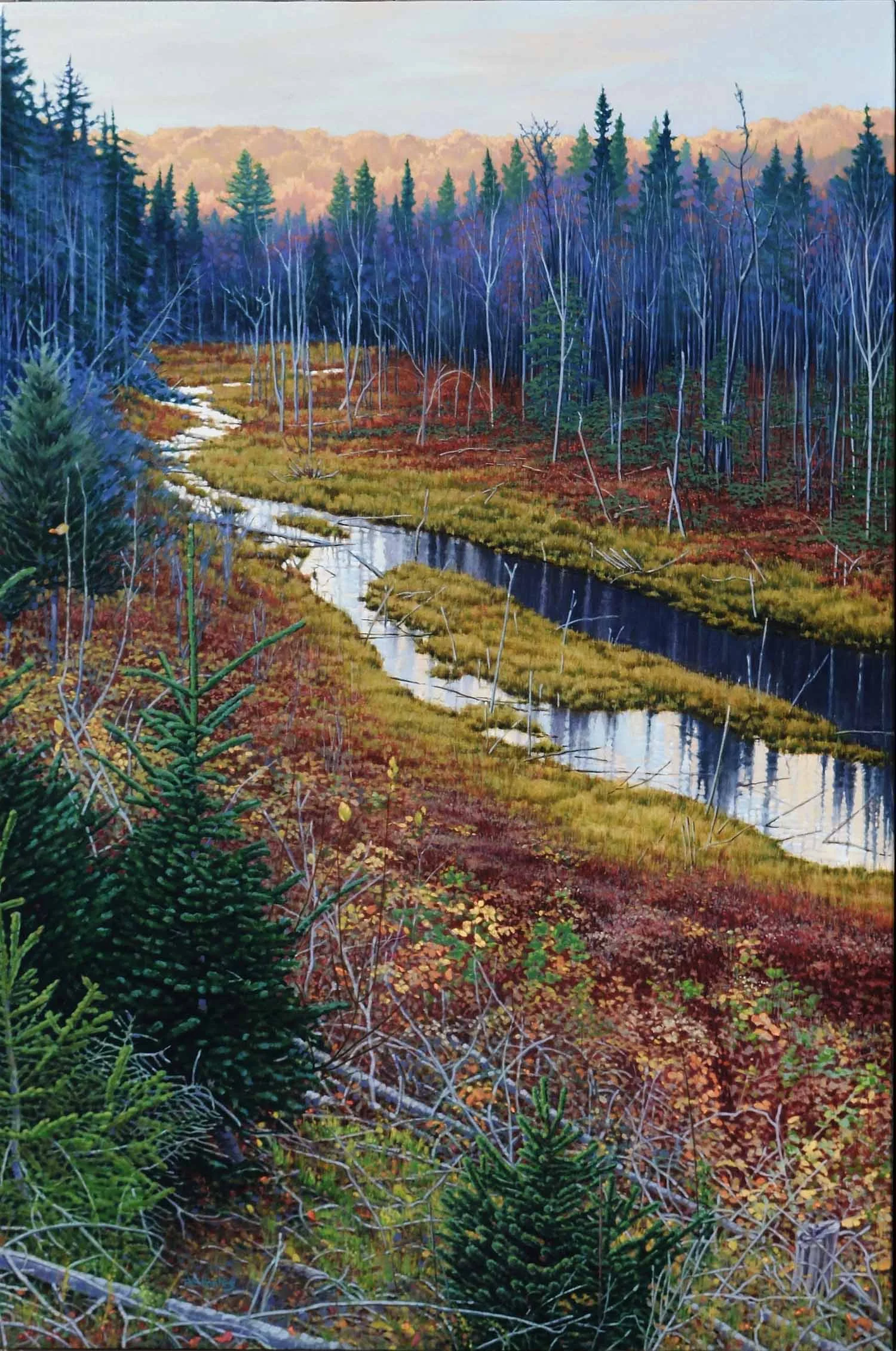 8_Algonquin Evening.jpg