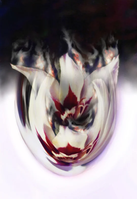 4-burning.jpg