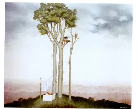 19_Paesaggio.jpg